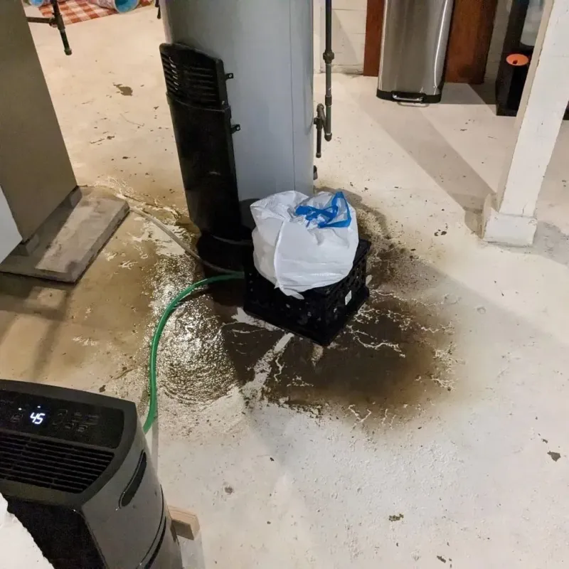 Sewage Backup Cleanup Service in Tallassee, AL